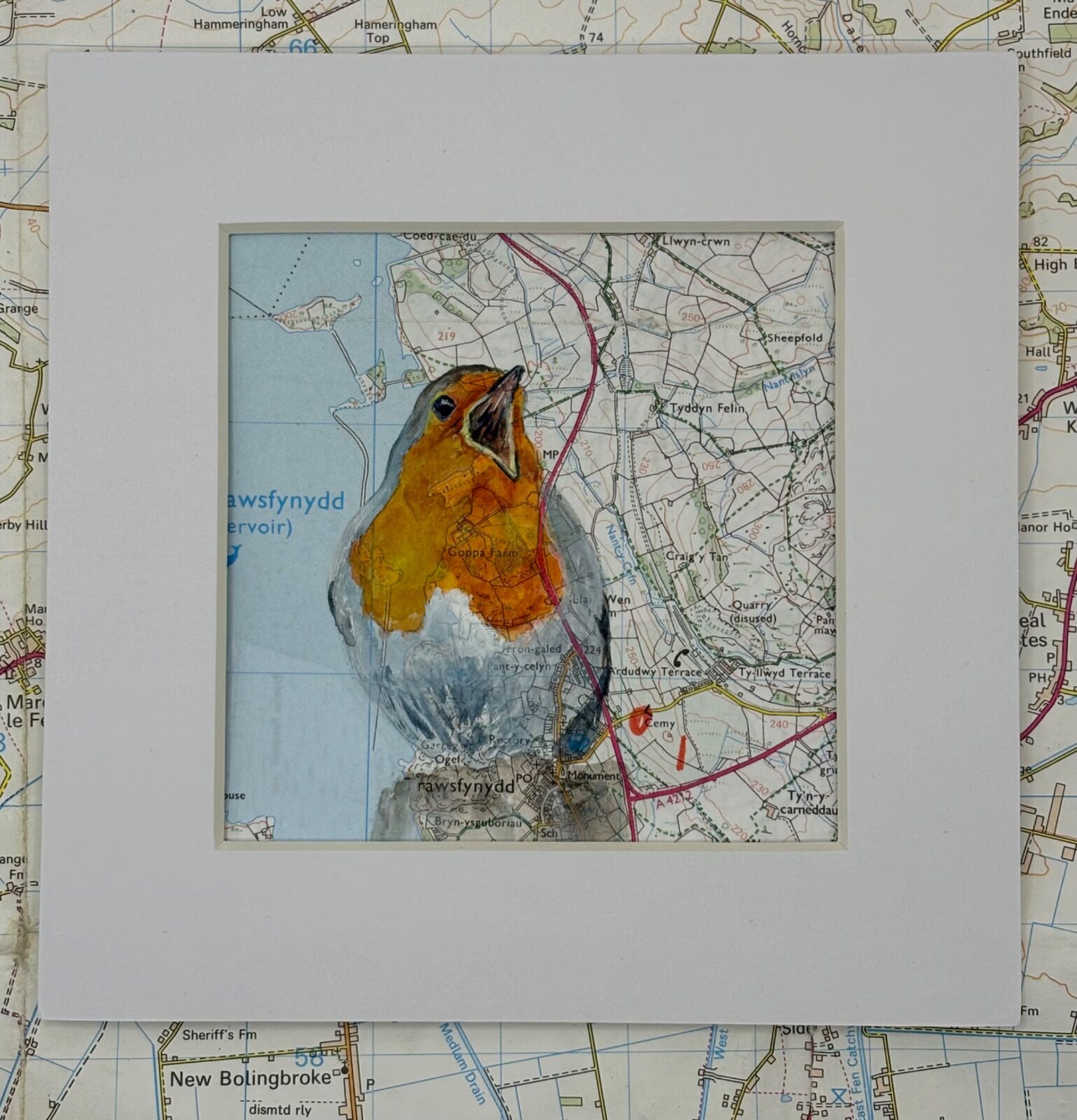 WHERE ROBINS ROAM - TRAWSFYNYDD