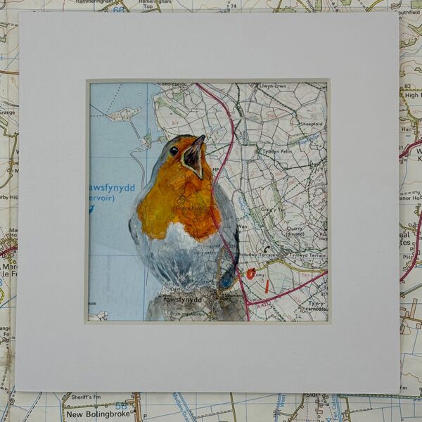 WHERE ROBINS ROAM - TRAWSFYNYDD