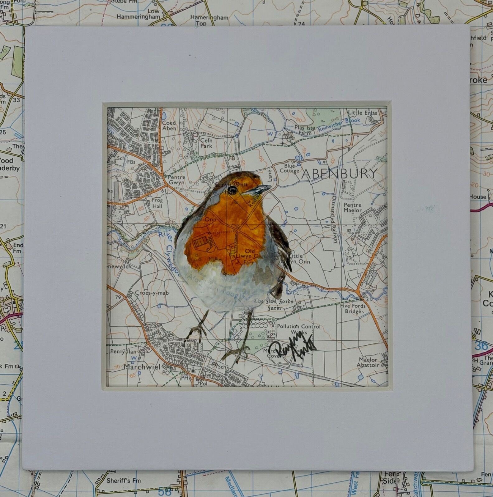 WHERE ROBINS ROAM - MARCHWIEL/RIVER CLYWEDOG