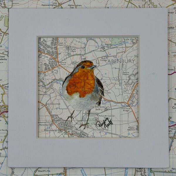 WHERE ROBINS ROAM - MARCHWIEL/RIVER CLYWEDOG