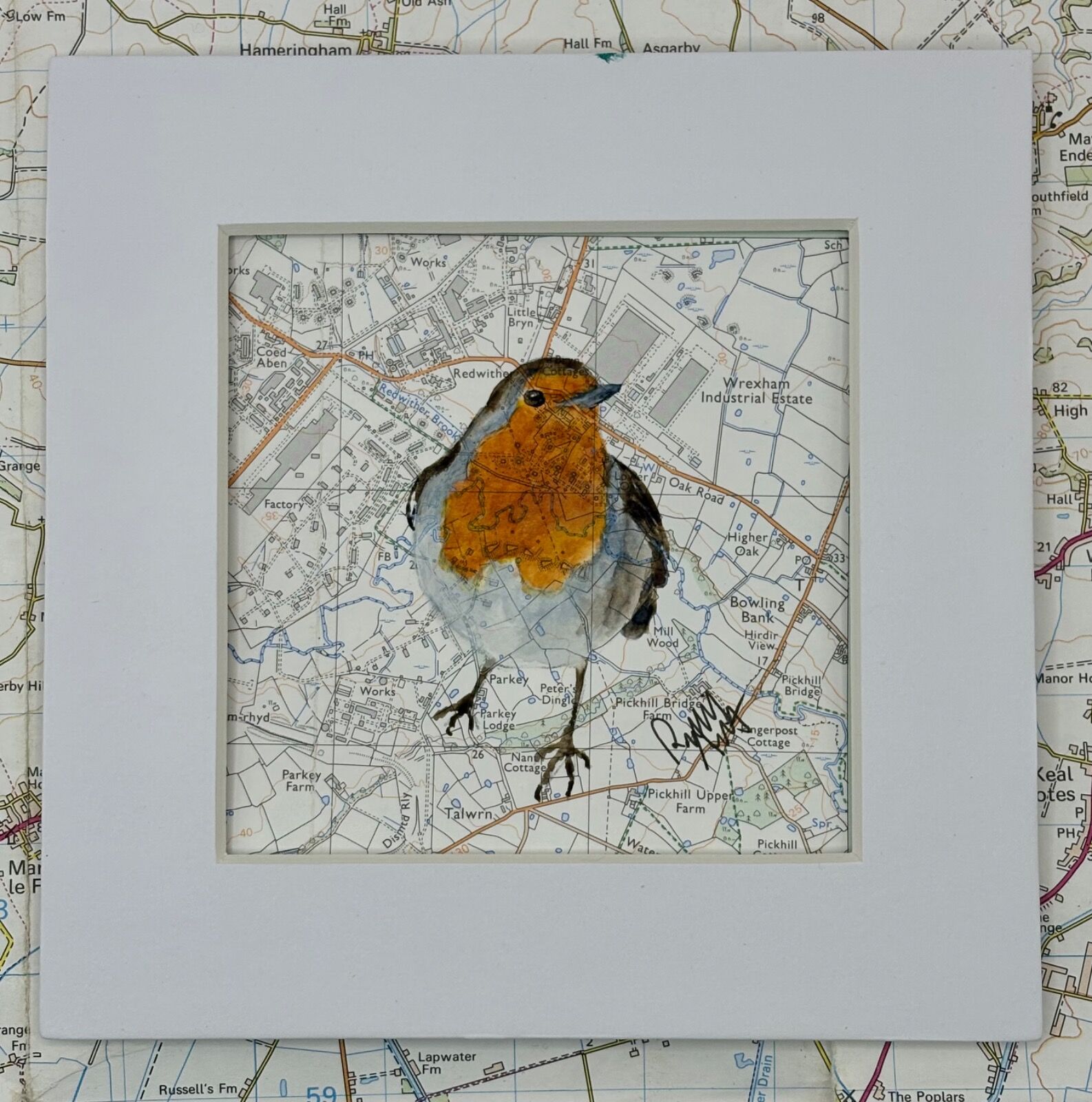 WHERE ROBINS ROAM - WREXHAM