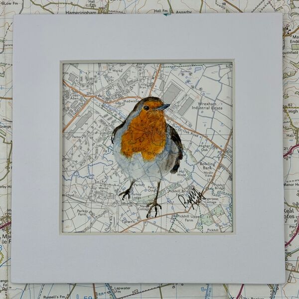 WHERE ROBINS ROAM - WREXHAM