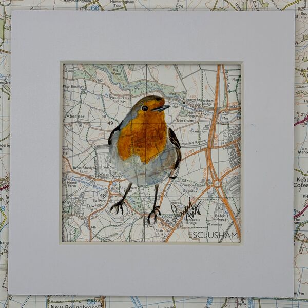 WHERE ROBINS ROAM - BERSHAM
