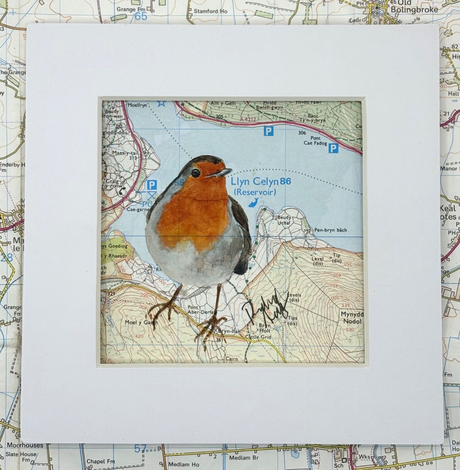 WHERE ROBINS ROAM - COFIWCH DRYWERYN