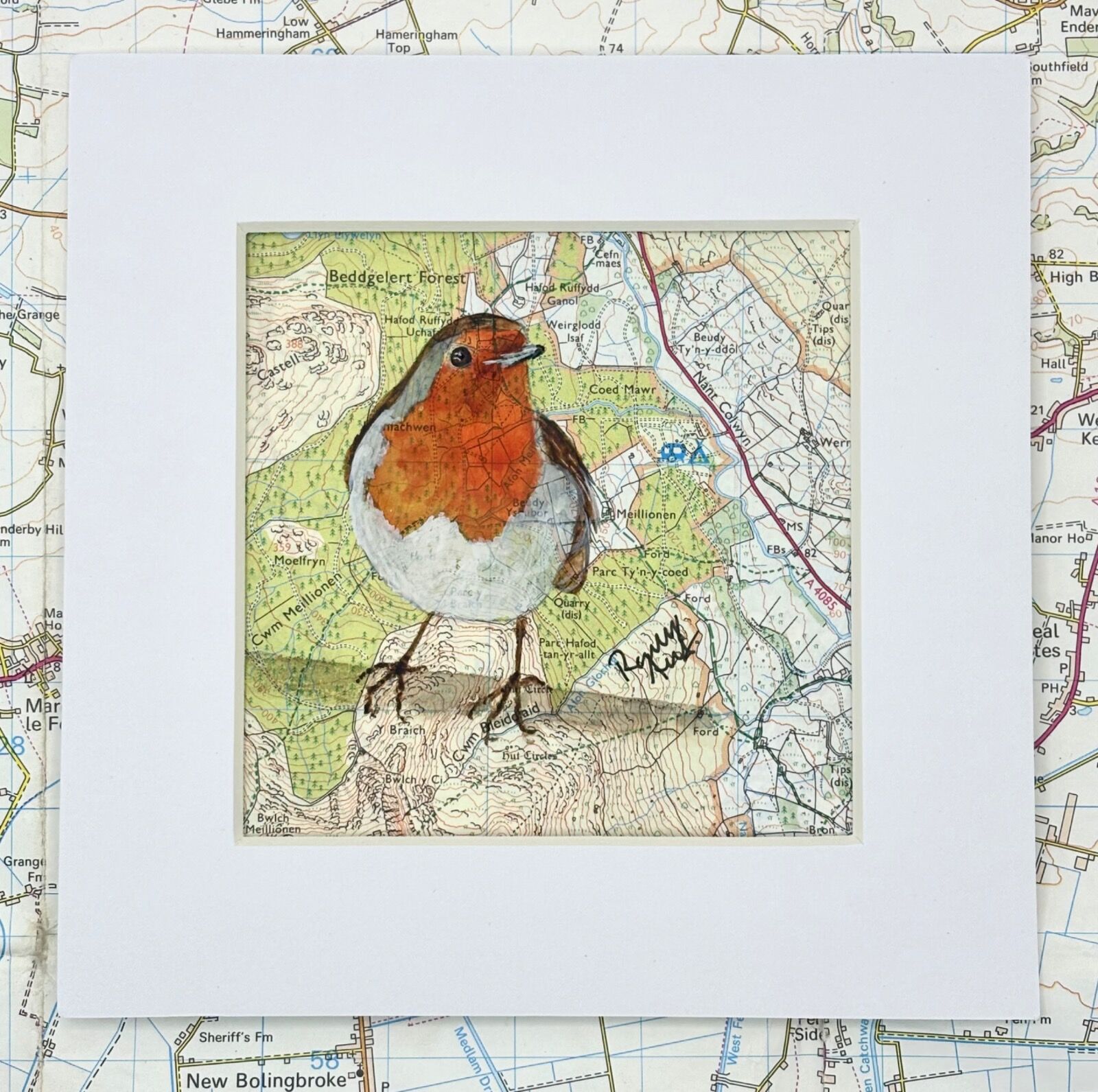 WHERE ROBINS ROAM - BEDDGELERT FOREST