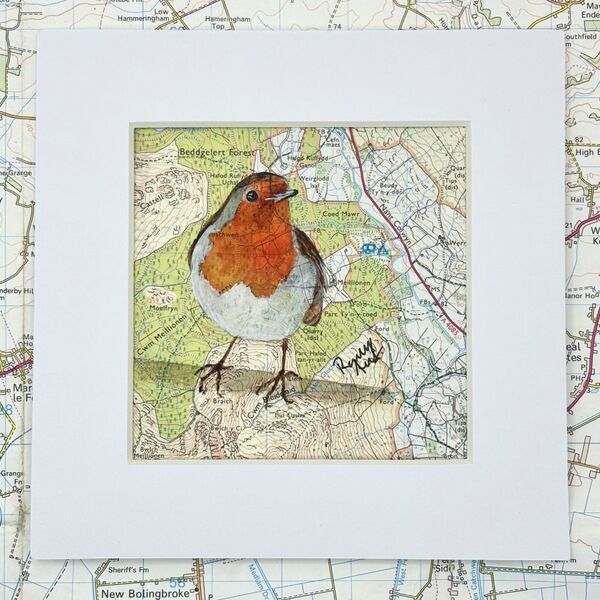 WHERE ROBINS ROAM - BEDDGELERT FOREST