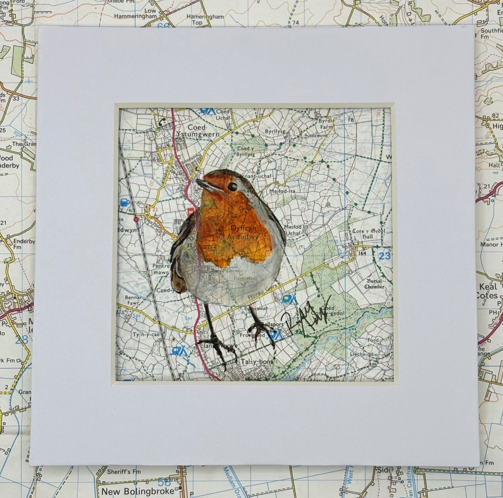 WHERE ROBINS ROAM - DYFFRYN ARDUDWY