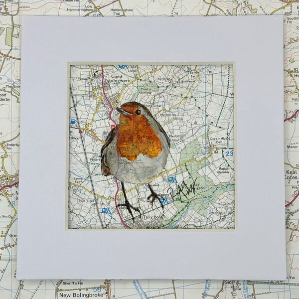 WHERE ROBINS ROAM - DYFFRYN ARDUDWY