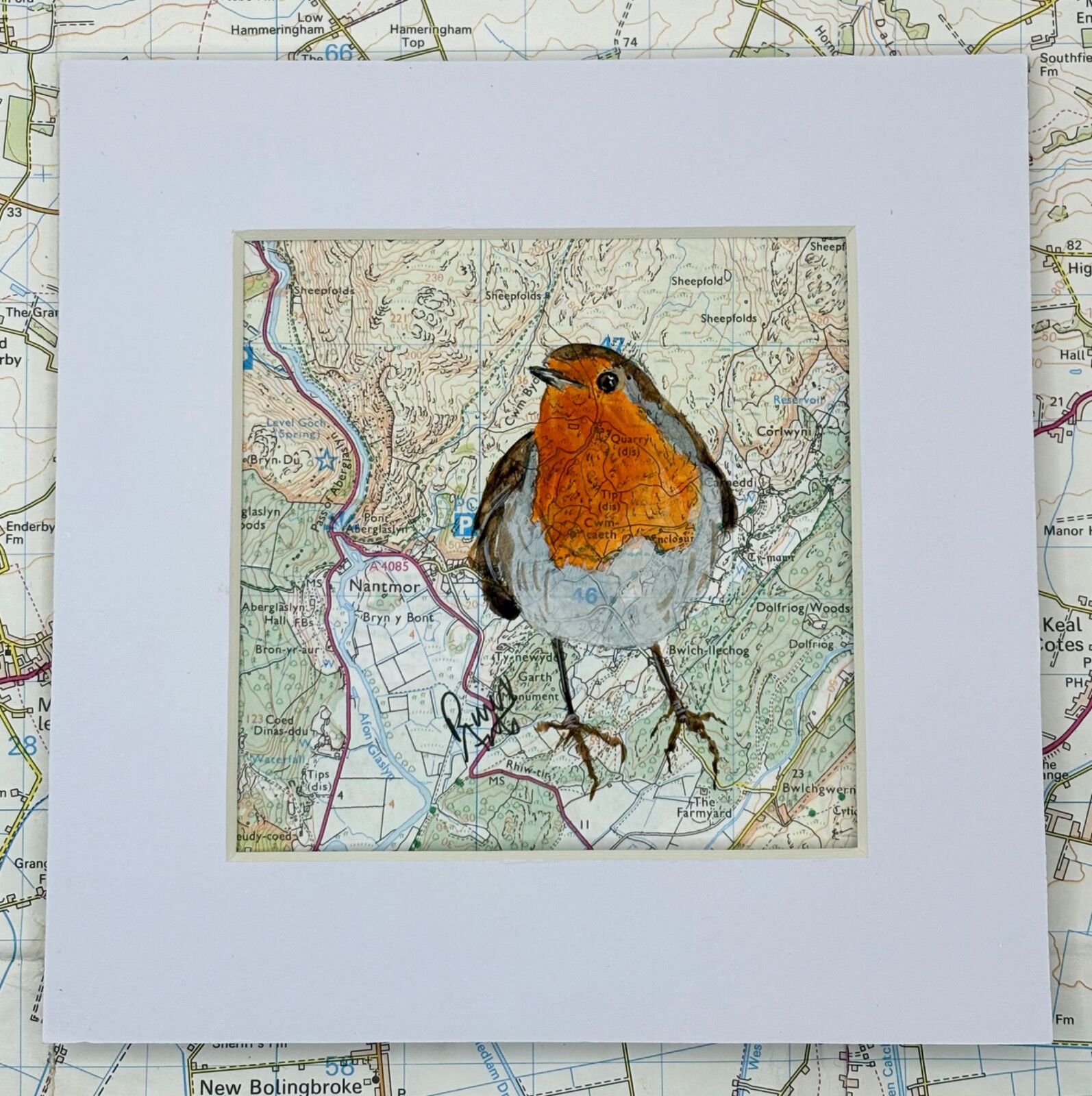 WHERE ROBINS ROAM - NANTMOR AND CWM BYCHAN