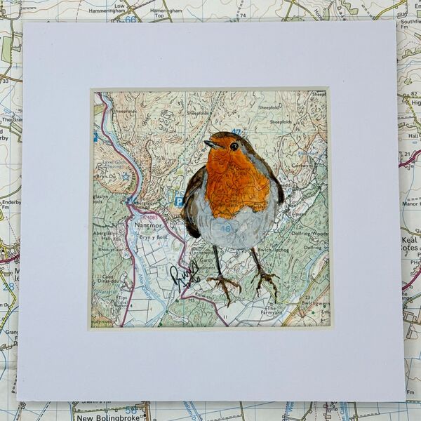 WHERE ROBINS ROAM - NANTMOR AND CWM BYCHAN