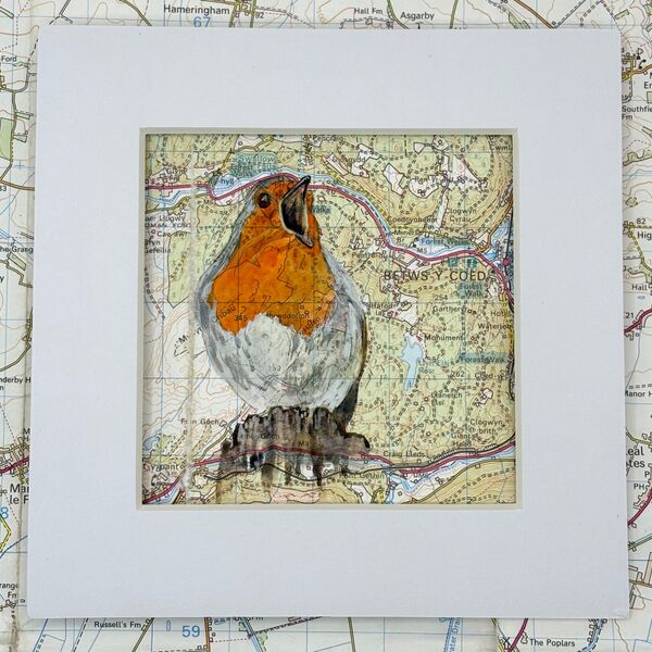 WHERE ROBINS ROAM - BETWS Y COED