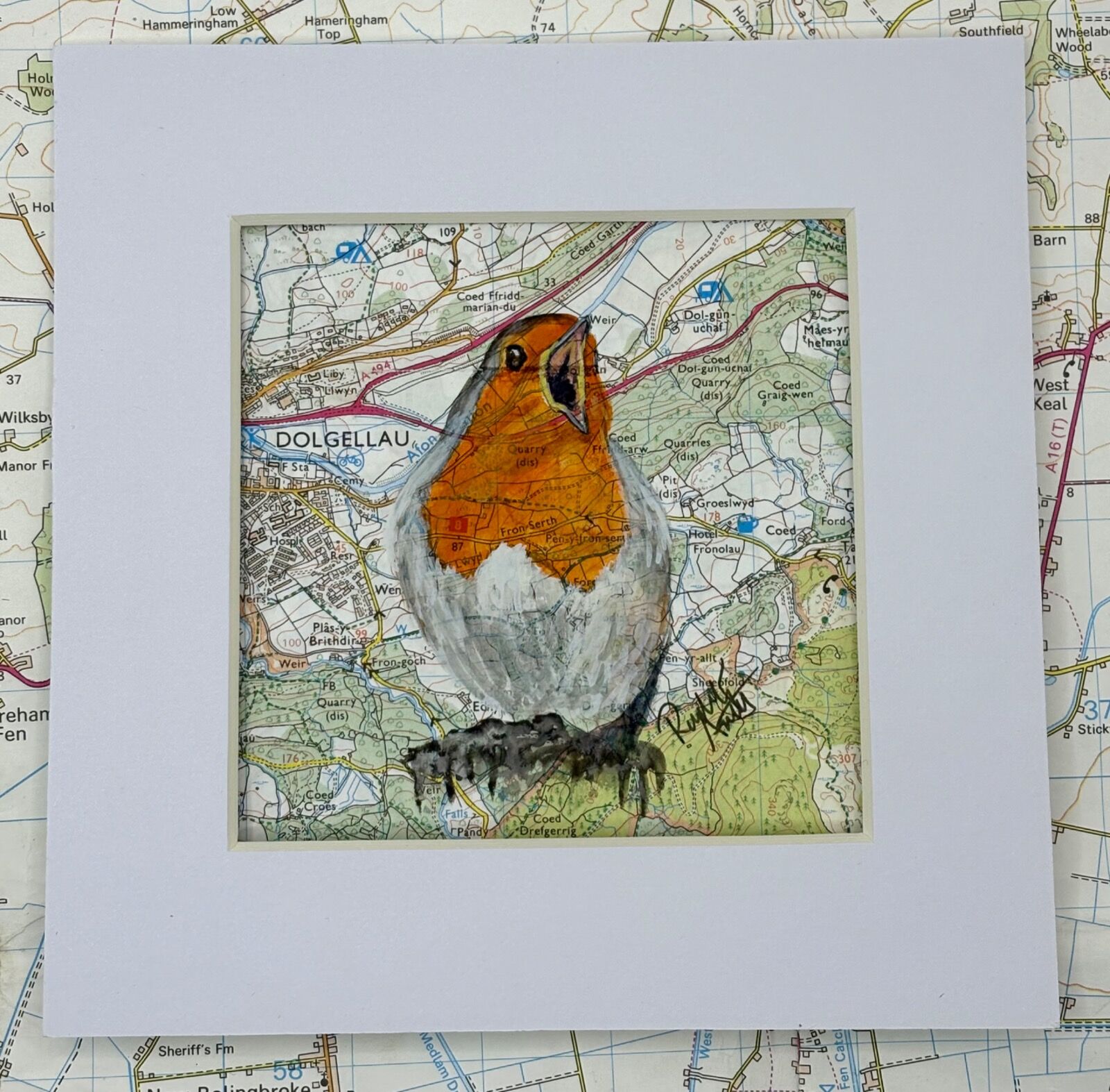 WHERE ROBINS ROAM - DOLGELLAU