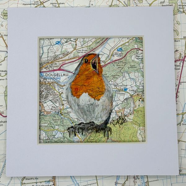 WHERE ROBINS ROAM - DOLGELLAU