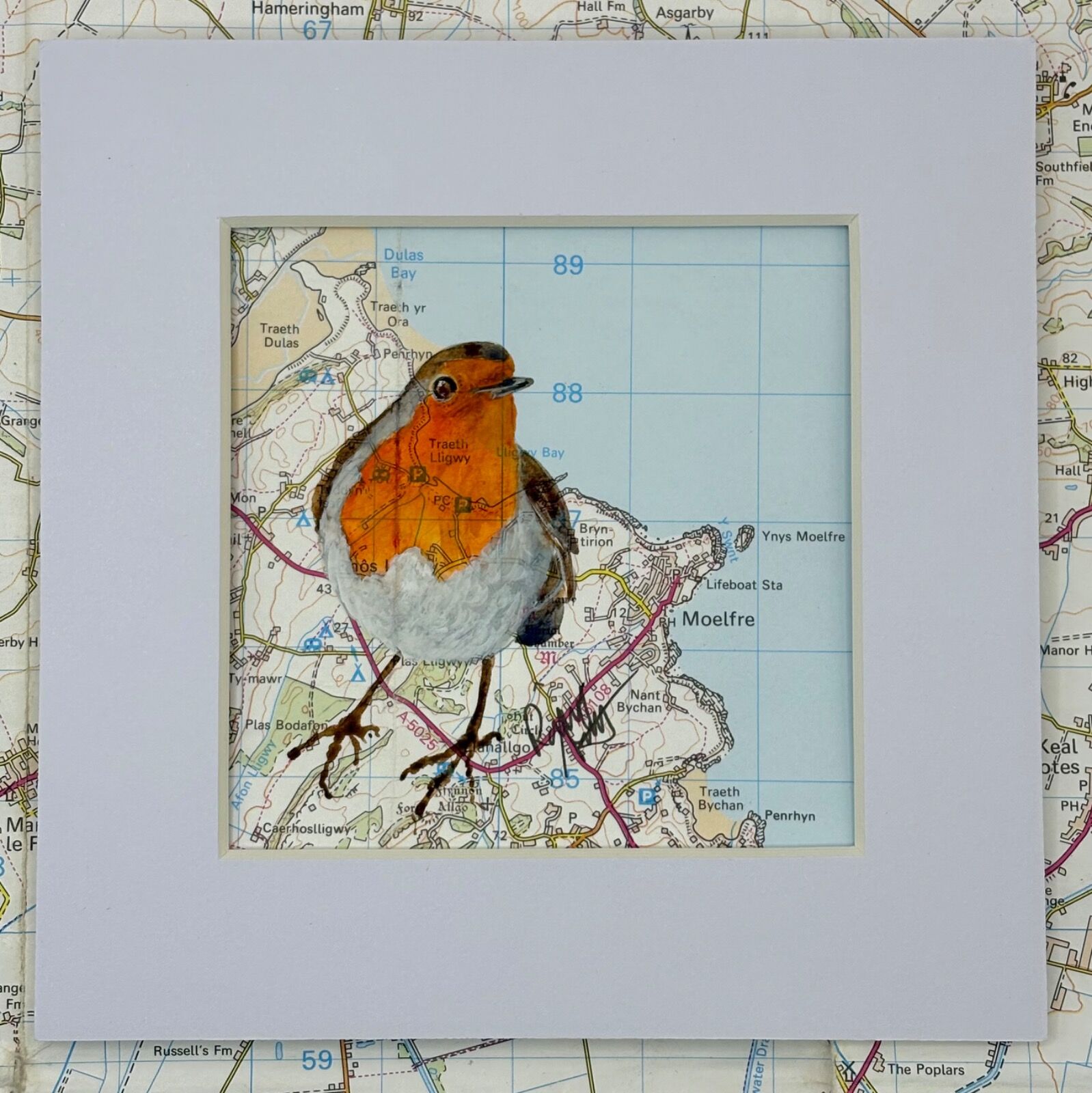 WHERE ROBINS ROAM - MOEFRE, YNYS MON