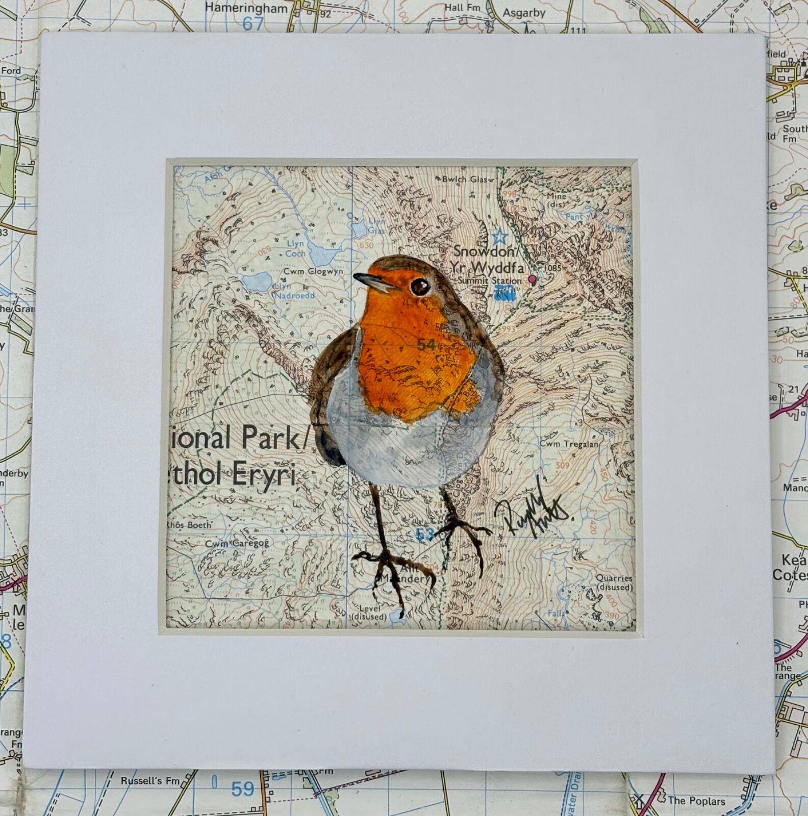 WHERE ROBINS ROAM - YR WYDDFA