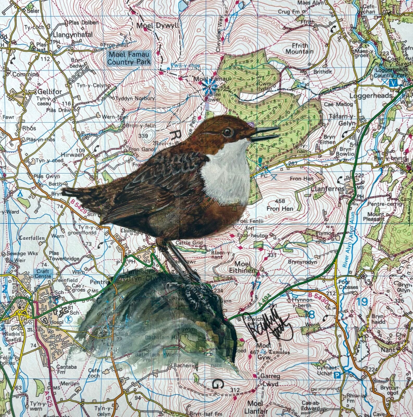 Dipper in Song