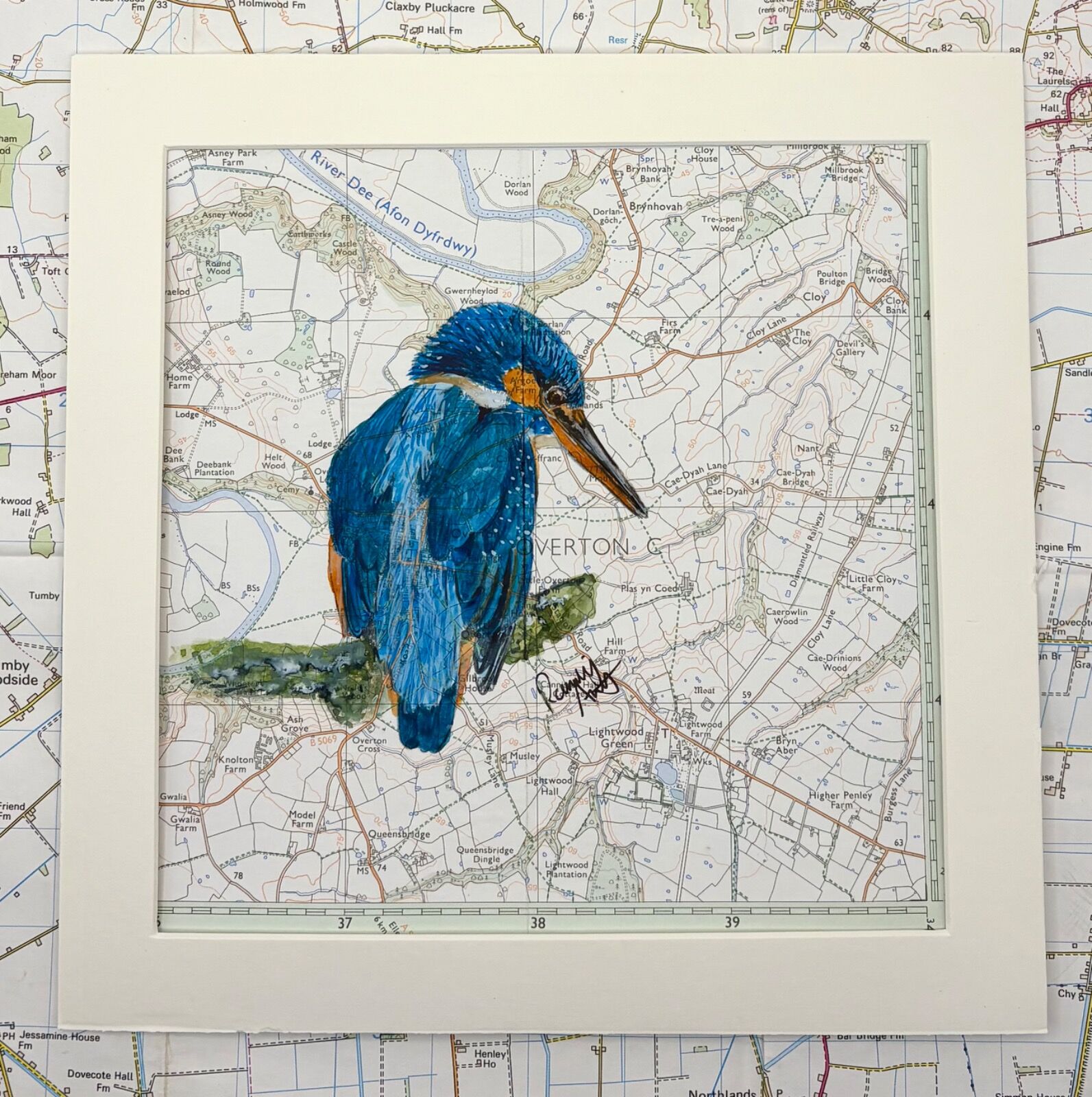 Kingfisher - Afon Dyfrydwy (River Dee)