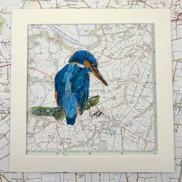Kingfisher - Afon Dyfrydwy (River Dee)
