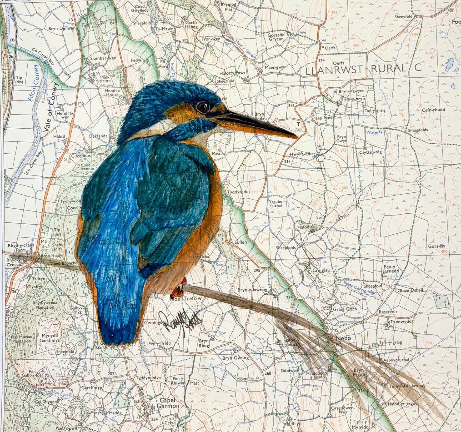 Kingfisher - Vale of Conwy (Llanrwst)