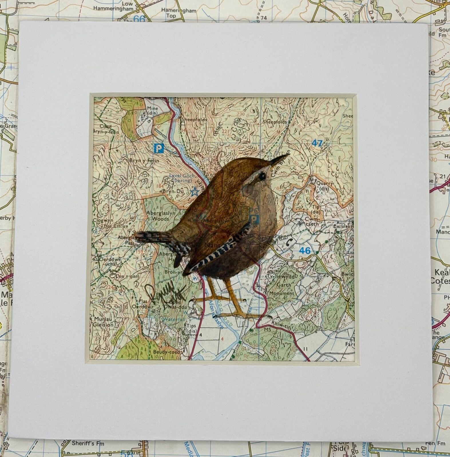 WHERE WRENS ROAM - Aberglaslyn (Nantmor)