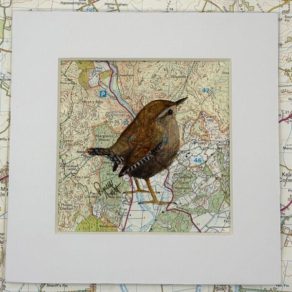 WHERE WRENS ROAM - Aberglaslyn (Nantmor)