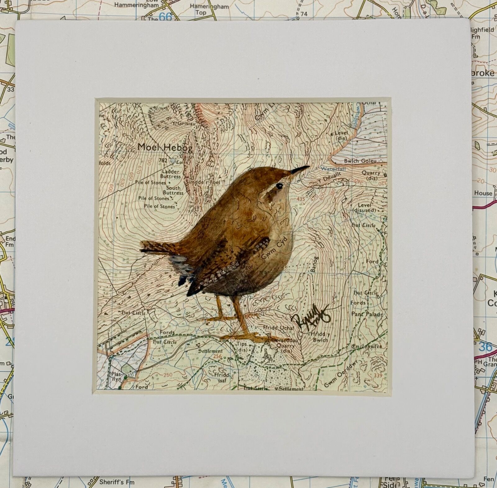 WHERE WRENS ROAM - Moel Hebog