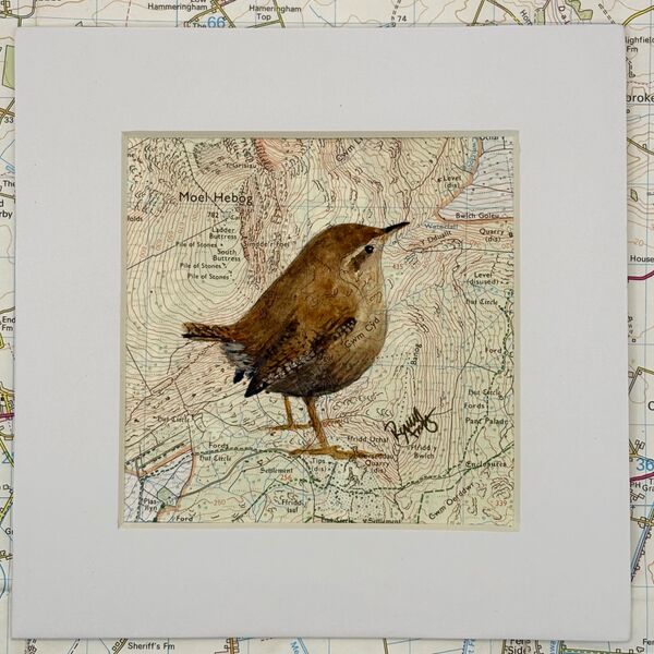WHERE WRENS ROAM - Moel Hebog