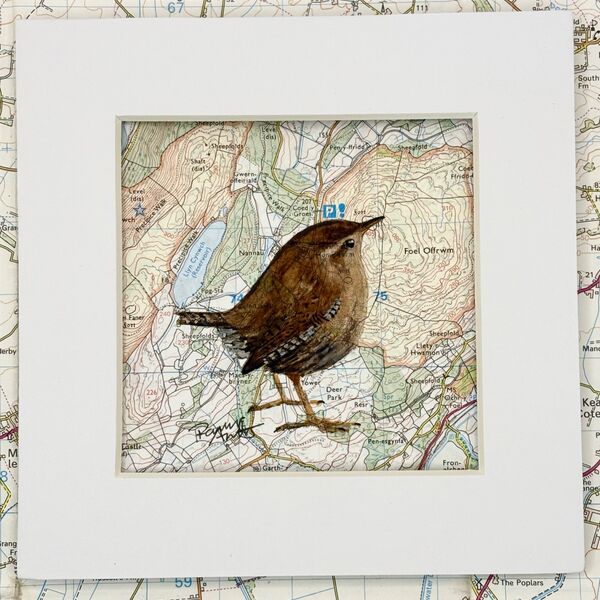 WHERE WRENS ROAM - Precipice Walk and Foel Offrwm