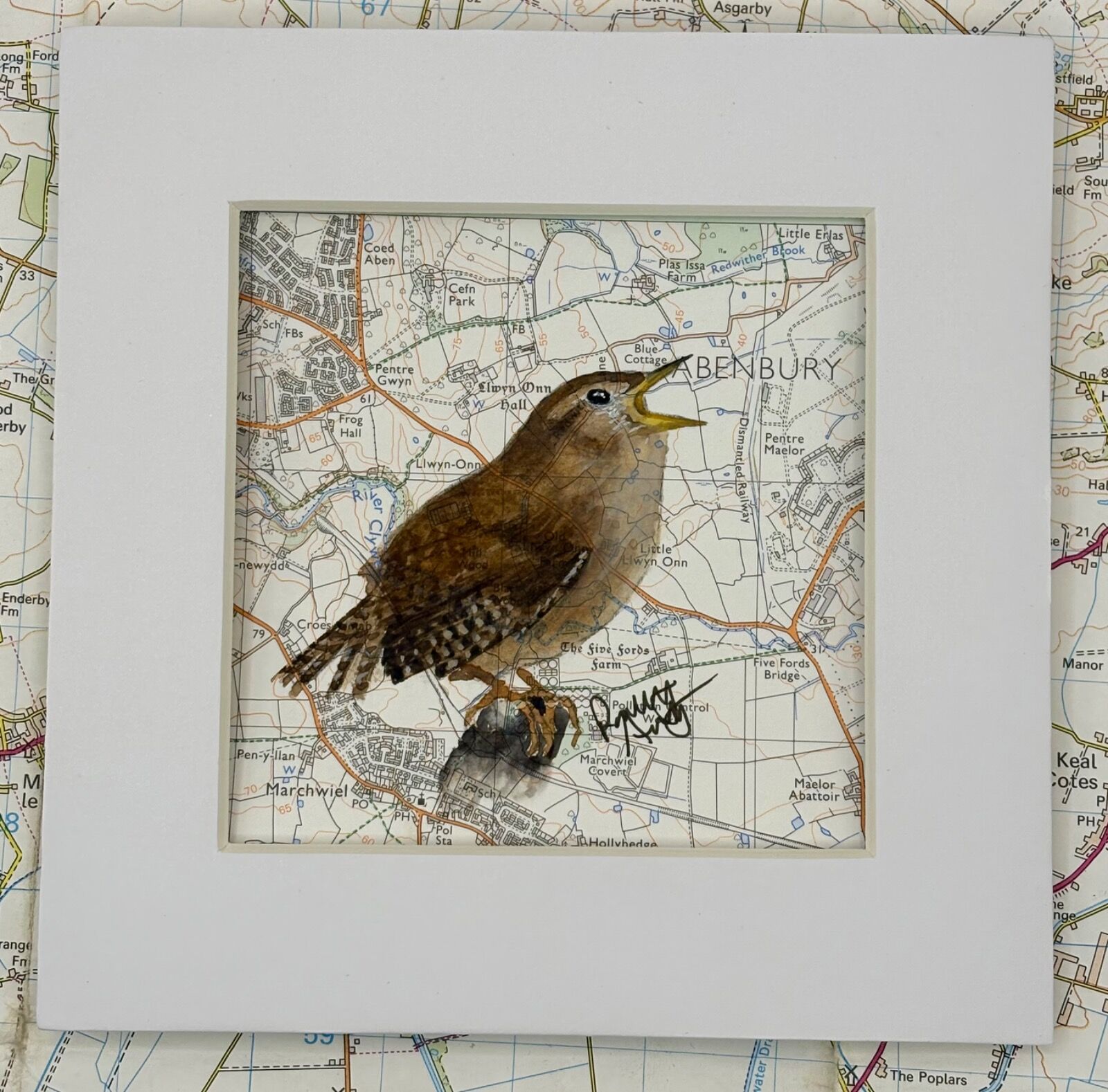 WHERE WRENS ROAM - Marchweil near Wrexham