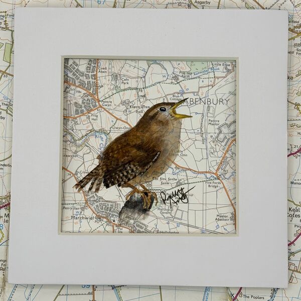 WHERE WRENS ROAM - Marchweil near Wrexham