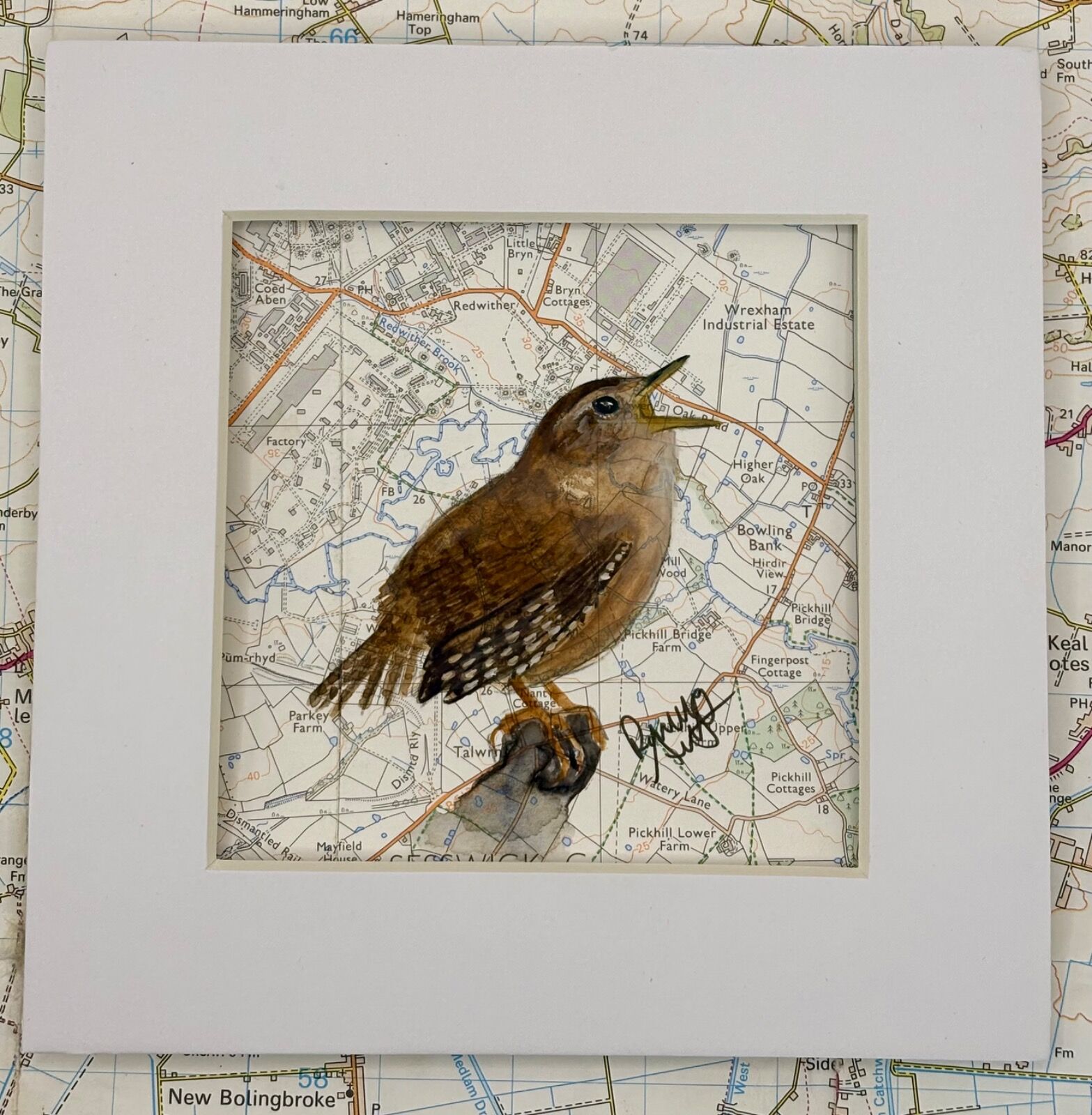 WHERE WRENS ROAM - Wrexham