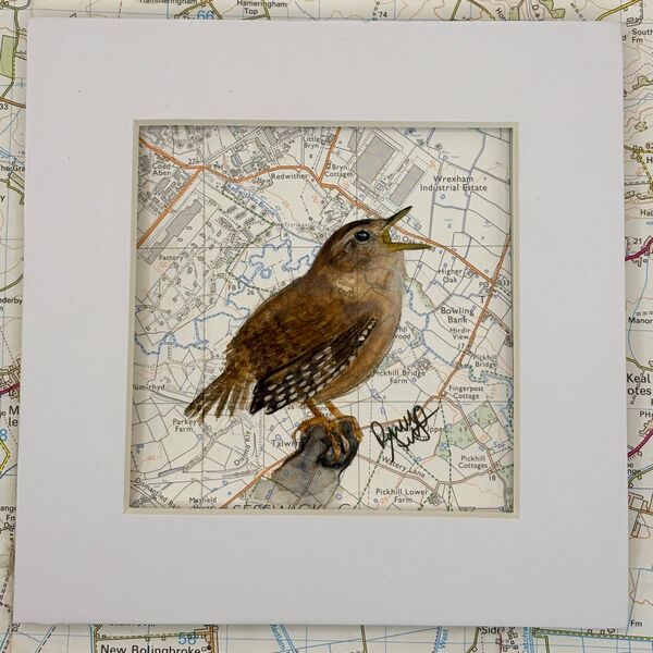 WHERE WRENS ROAM - Wrexham