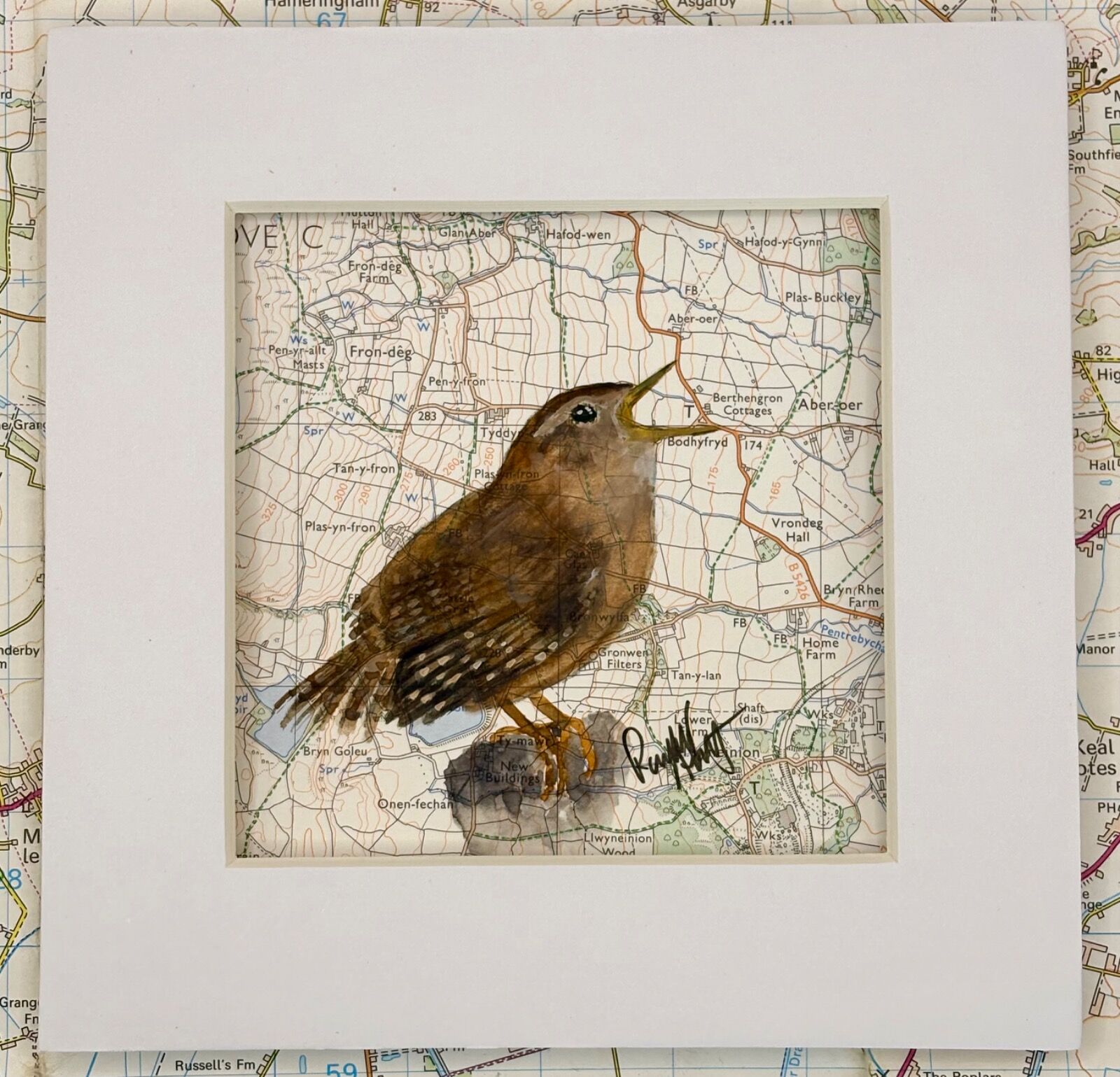 WHERE WRENS ROAM