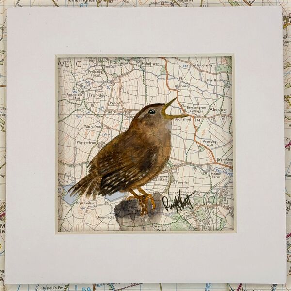 WHERE WRENS ROAM
