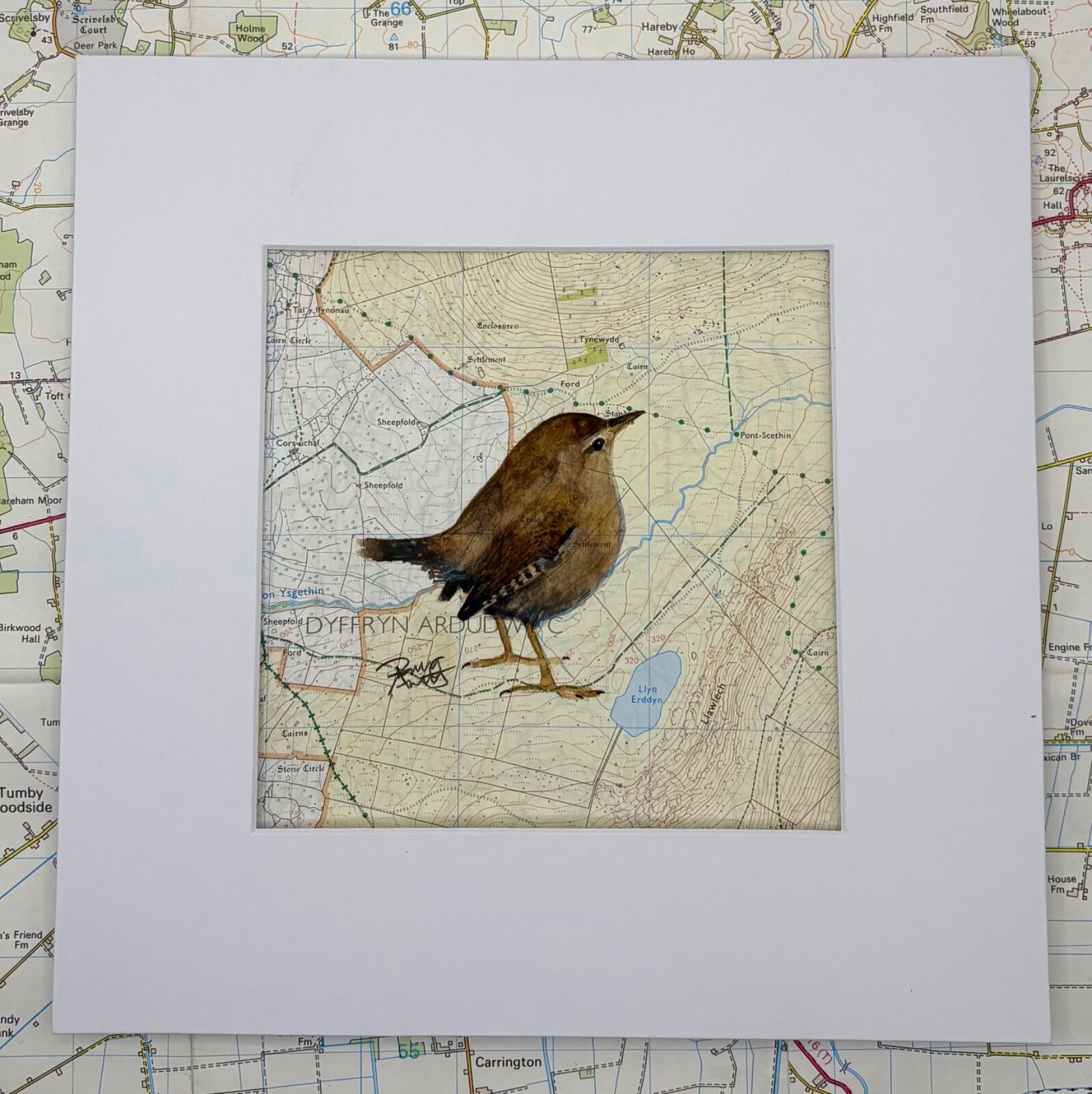 WHERE WRENS ROAM - Pont Scethin