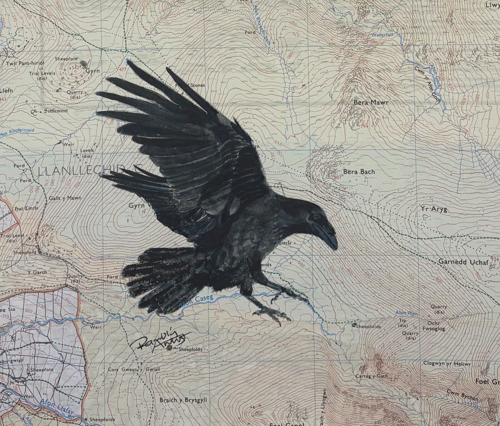 Raven over the Carneddau