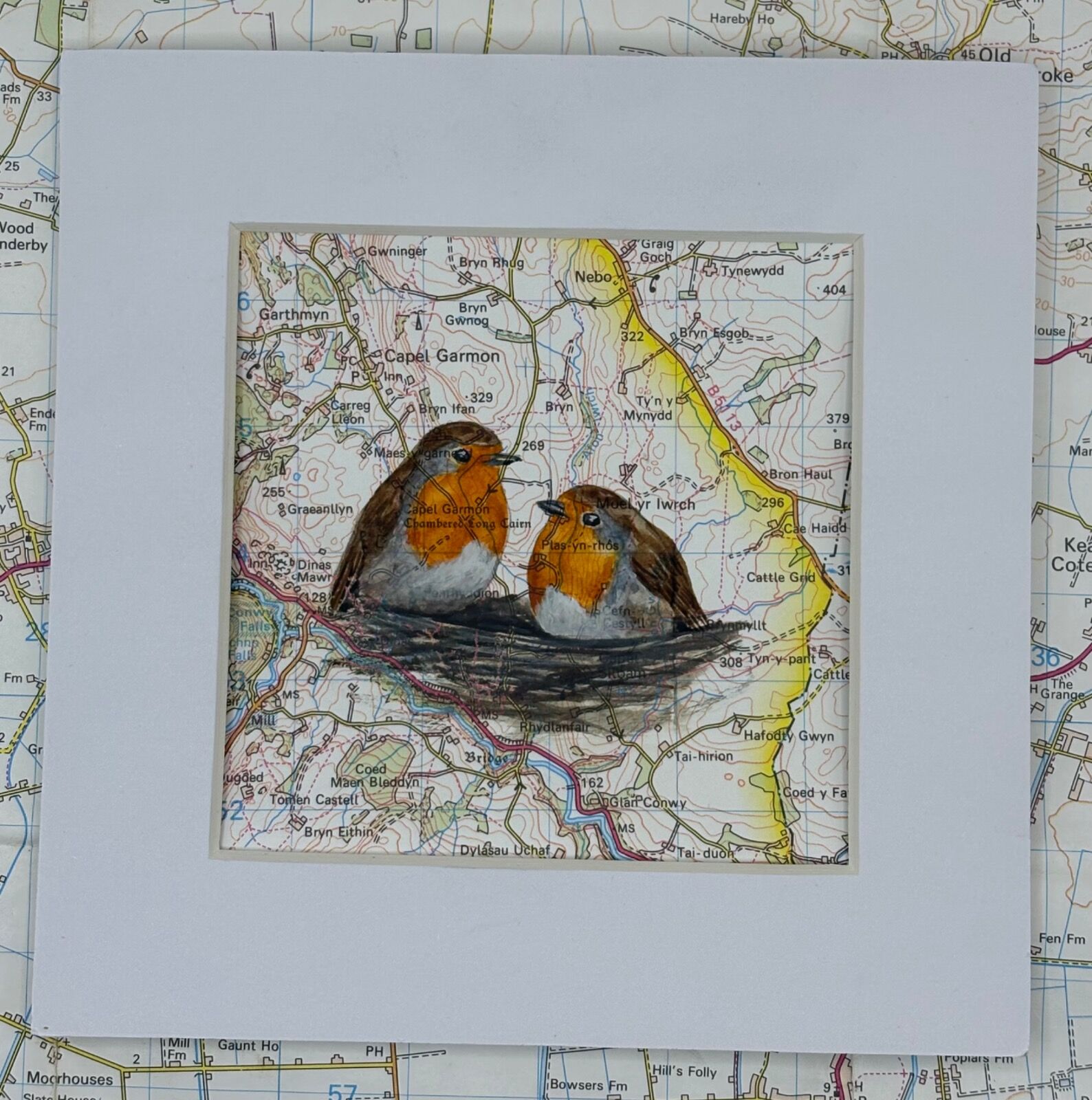 Robins - Capel Garmon