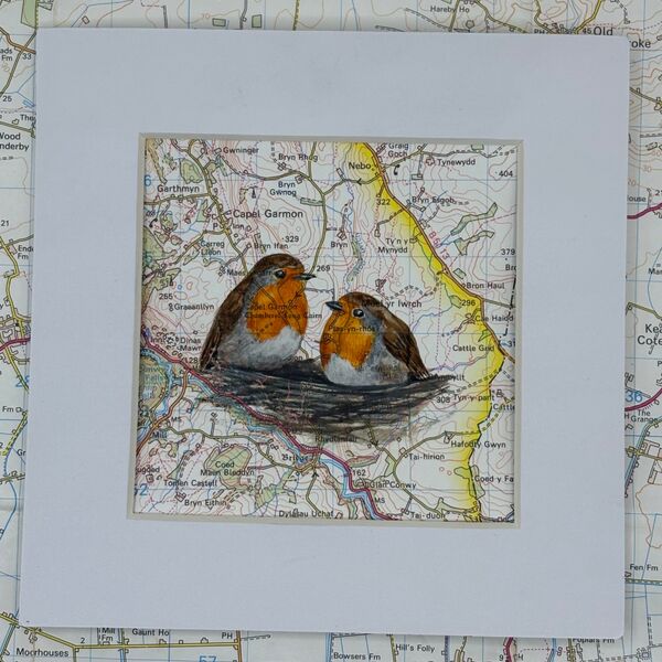 Robins - Capel Garmon