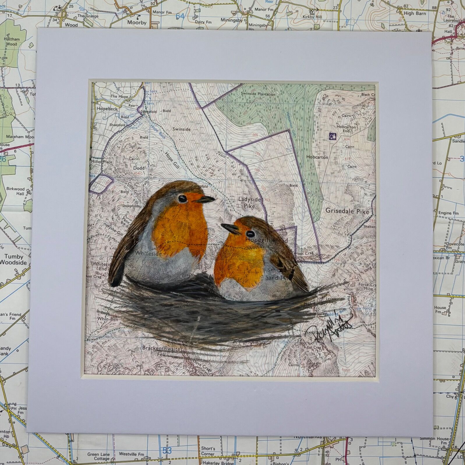 Robins - Ladyside Pike and Grisedale Pike