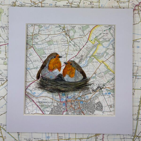 Robins - Cockermouth