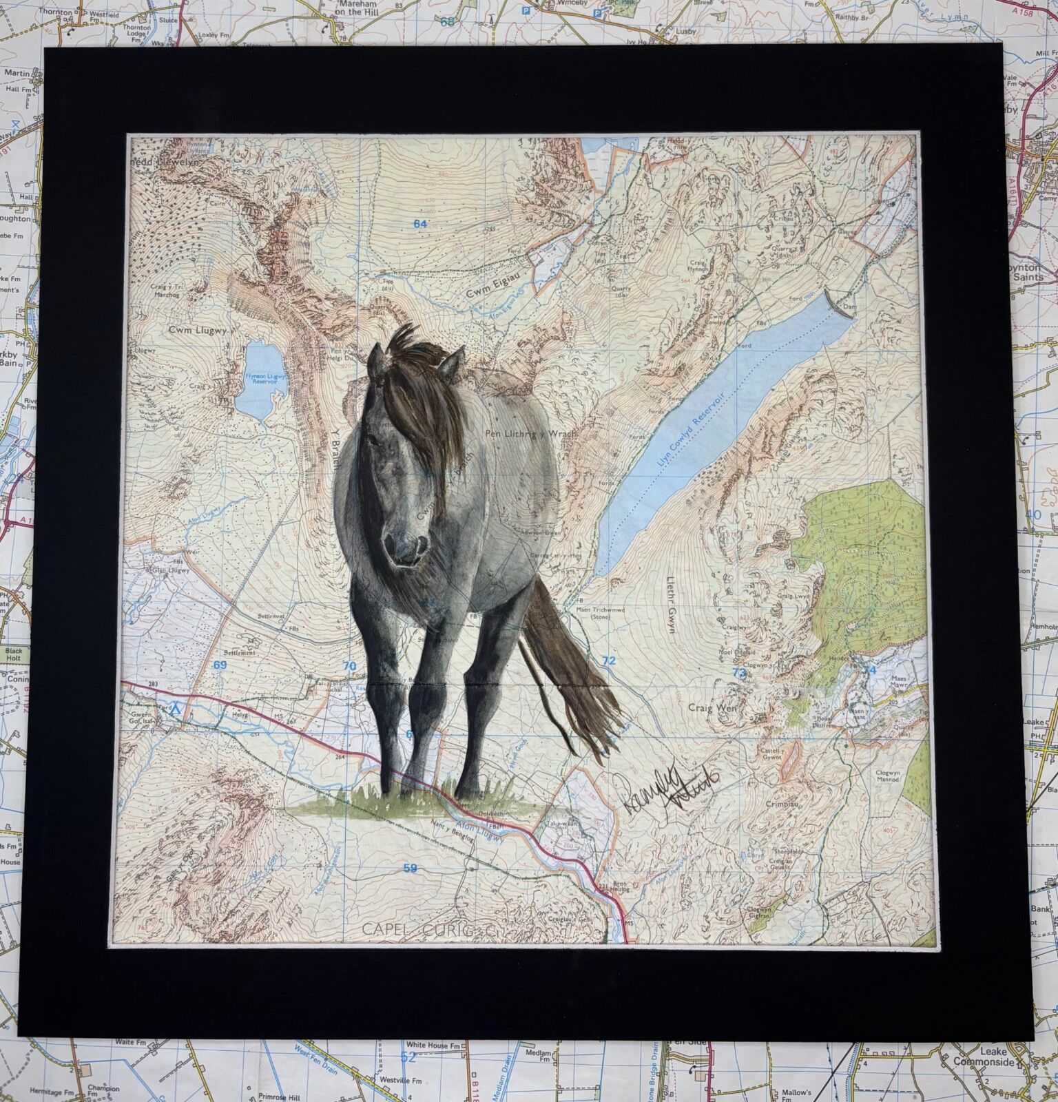 Carneddau Pony