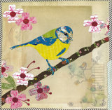 Blue Tit - Animal Collage by Clare Thompson