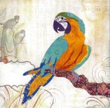 Macaw - Animal Collage by Clare Thompson