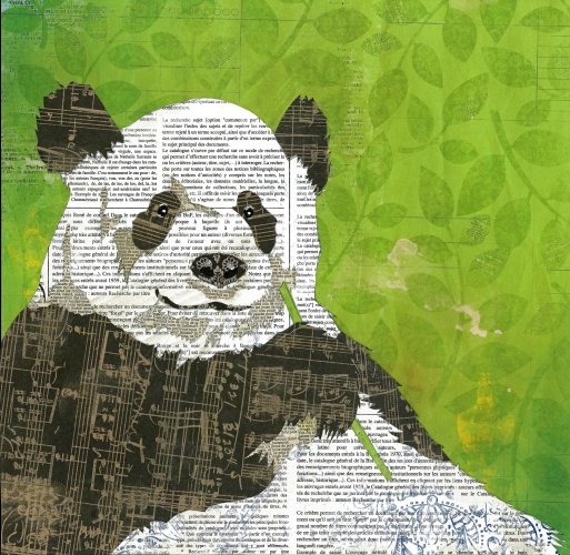 Panda - Animal Collage by Clare Thompson