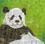 Panda - Animal Collage by Clare Thompson