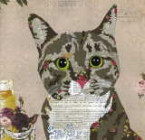 Tabby Cat - Animal Collage by Clare Thompson
