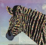 Zebra - Animal Collage by Clare Thompson