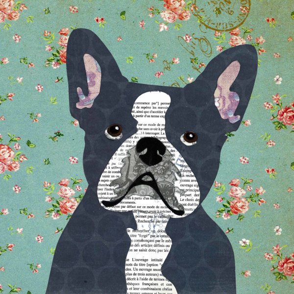 French Bulldog - Animal Collage by Clare Thompson