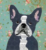 French Bulldog - Animal Collage by Clare Thompson