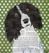 Spaniel - Animal Collage by Clare Thompson